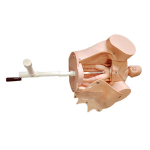 Modèle médical scientifique de machine d'accouchement rotative manuelle DARHMMY pour le contrôle des naissances maternelles et infantiles - Product Image 2