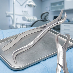 Dental Extraction Forceps Stainless Steel Manual CE Certified <b>Model</b> 16 Knurled Grip Class I Instrument - Product Image 5