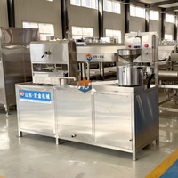 Ligne automatique de production de tofu au lait de soja à petite échelle Machines à prix d'usine pour petites entreprises Machines de traitement des produits aux haricots