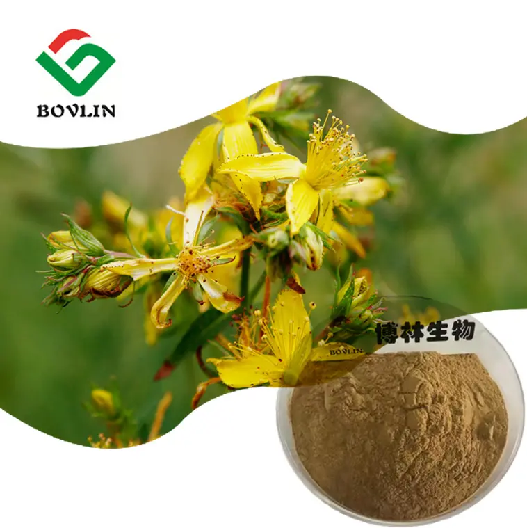 Pasokan Bohong Hypericum Perforatum ekstrak 0.3% Hypericin bubuk