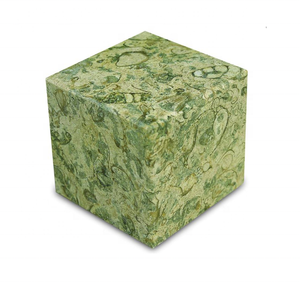 Pisapapeles de mármol fósil personalizado piedra tallada a mano en varios tamaños - Product Image 1