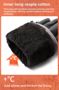 Custom Winter Outdoor Sports Windproof Waterproof Touchscreen Thick Plush Thermal Lining Hand Warm <b>Gloves</b> - Product Image 3