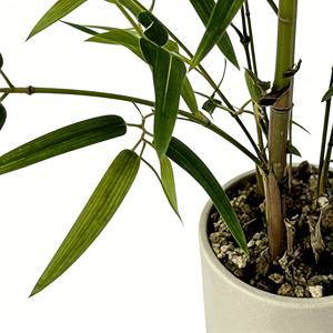 Planta artificial de bambú en maceta, bonsái artificial de bambú, bambú - Product Image 5