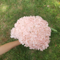 Nouveau produit : Grande taille d'hortensia stabilisé pour décoration de mariage, matériau floral artisanal.