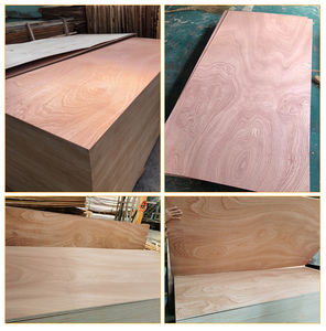 Ventes directes d'usine de peuplier blanchi bon marché, érable, bouleau, pin, Bintango, Ogumesa, chêne <span class=keywords><strong>Pele</strong></span>, contreplaqué commercial - Product Image 6