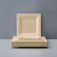 Assiette carrée jetable biodégradable en pulpe de canne à sucre, pour camping et extérieur, fournie directement par l'usine