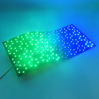 Bande LED flexible RGB 192 LED double couche FPC, 24V DC, 42W, avec télécommande intelligente, découpable, pour l'animation