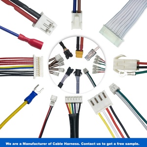 Özel Molex kablo demetleri kablo montajı - Product Image 2