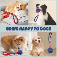 Le plus nouveau jouet interactif de remorqueur de chien de boules de mâcher de chien avec la corde en nylon élastique