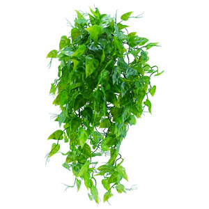 Plante artificielle de feuilles de patate douce en niobium, décoration murale pour la maison, usage intérieur T1007 Vert - Product Image 5