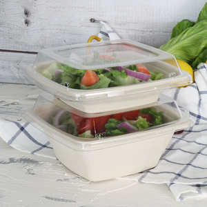 Square 24 Oz 32 Oz 48 Oz Biodegradable Sugarcane Bagasse Pulp Packaging Food Container Fast Food Paper Bowl