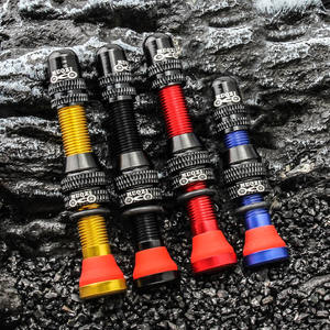 MUQZI-Tige de <span class=keywords><strong>valve</strong></span> <span class=keywords><strong>Tubeless</strong></span> <span class=keywords><strong>pour</strong></span> vélo de route <span class=keywords><strong>VTT</strong></span>, accessoires de <span class=keywords><strong>jante</strong></span>, 60mm, 40mm - Product Image 5