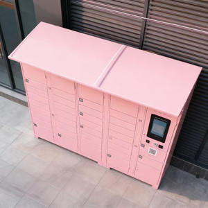 Boîtes de livraison intelligentes de <span class=keywords><strong>colis</strong></span> de collecte de système libre-service rose de protection solaire de communauté extérieure de fournisseur - Product Image 5