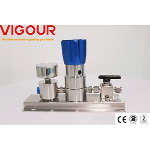 Assemblages de bâtons de gaz de laboratoire de filtre SS 316L à un étage Régulateur de CO2 de régulateur de pression de Type taraudage à montage mural - Product Image 3