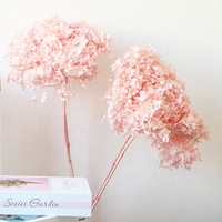 Bunga Abadi Anna Hydrangea Tunggal, Anna Hydrangea Daun Kecil, Anna Bella Hydrangea Grosir