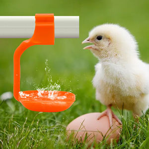 Granja avícola colgar vasos <span class=keywords><strong>para</strong></span> beber <span class=keywords><strong>de</strong></span> pollo <span class=keywords><strong>precio</strong></span> bajo sistema bebedero <span class=keywords><strong>de</strong></span> pollo <span class=keywords><strong>bebederos</strong></span> <span class=keywords><strong>para</strong></span> <span class=keywords><strong>pollos</strong></span> - Product Image 2