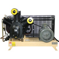 Compresseur industriel à piston haute pression 40bar Compresseur d'air alternatif Machine pour raffinage du pétrole Moteur à noyau de pétrole/gaz