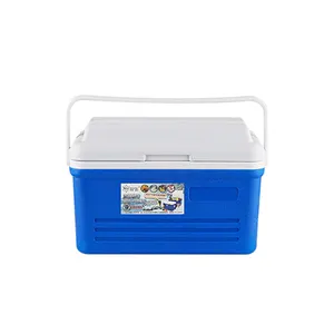 Enfriador de caja de hielo Eps personalizado de gran tamaño ecológico 6L 10L 19L 38L 45L 55L 65L 75L 85L 100L 110L 30L caja de refrigeración de plástico