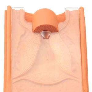 Vrouwelijk Vagina Anatomisch Model & Iud Simulator, Gynaecologische Trainingsmodel Anticonceptie Begeleiding Model Intra-Uteriene Apparaat Iud - Product Image 4