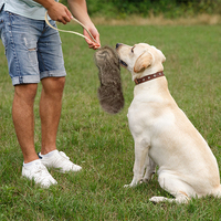 Jouet à mâcher pour chien en vraie fourrure de lapin, durable, sûr, pour la dentition et l'entraînement des chiots, adapté à toutes les occasions, jeu pour animaux de compagnie