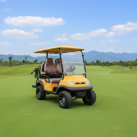 Voiture de golf électrique haute performance 72V homologuée pour la route, 4 places, buggy 4x4 pour adultes, tourisme et import