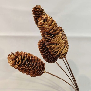 Factory Supple Dried Flower Pine Cone Real Natural Dried <strong>Pinecone</strong> for Christmas Decoration - Product Image 4