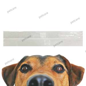 สายสวนสำหรับสุนัขสัตวแพทย์แบบใช้แล้วทิ้งพร้อมสายสวนแบบมีสายฉีดสำหรับสัตว์เลี้ยงขนาด1.3มม. - Product Image 2