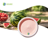 Poudre d'extrait de melon d'eau de qualité alimentaire SLBIO, extraite par solvant, disponible en emballage fût et bouteille