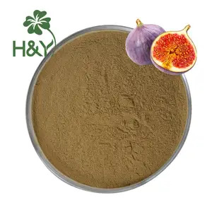 Best Price High Quality Fig Leaf Extract Fig Extract Fig Extract Powder