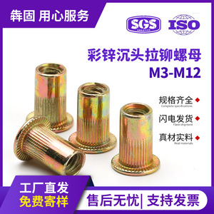น็อตหัวแบน Bengu Rivet ขนาด M4 M5 M6 M8 M12 ชุบโครเมตสีเหลือง  แบบเมตริก ความยาว 18 มม. ผลิตด้วยเครื่อง CNC - Product Image 5