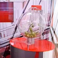 Machine de loterie de bingo électronique personnalisée par usine professionnelle tirage au sort avec boule de mélange d'air boule de loterie
