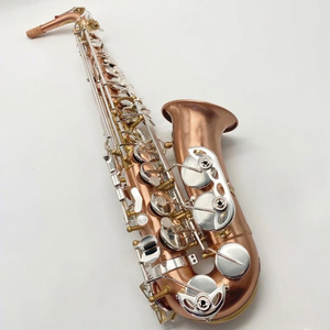 Saxophone <span class=keywords><strong>alto</strong></span> en argent plaqué Cooper avec logo Corrosion Artist - Product Image 1