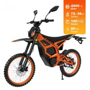 WISH 04 PRO Motocicleta Eléctrica Todoterreno de Largo Alcance, 72V 36Ah 4000W, para Adultos, Motocross Eléctrica, Pit Bike Eléctrica - Product Image 2