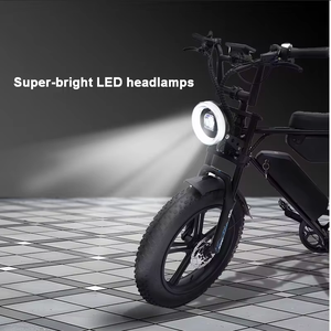 Vélo électrique WindChaser Stealth Bomber, batterie lithium 48V13/15Ah, moteur sans balais 500W, freins à disque avant/arrière, Rower - Product Image 5