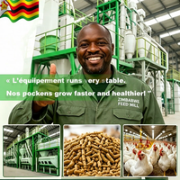 Usine de fabrication d'aliments pour animaux RICHI prête à l'emploi - Ligne de granulés d'aliments pour dindes 5t/h pour fermes commerciales et usines d'aliments pour animaux en Afrique