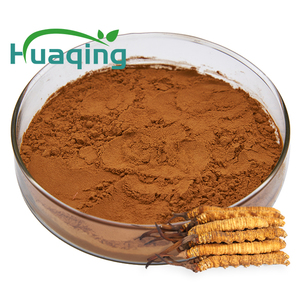 100% 천연 동충하초 militaris/동충하초 sinensis 추출물 분말 다당류 50% Cordycepin 0.3% - Product Image 2