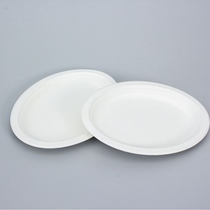 Platos Desechables Blancos Biodegradables de 8 Pulgadas Biopoly, Vajilla Ecológica de Bagazo para Viajes - Product Image 6