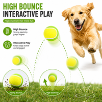 Balles de tennis personnalisées pour chiens, lot de 3, 1,5 pouce, rebond élevé, durables, jouet interactif pour chiens, plusieurs tailles et couleurs, logo OEM