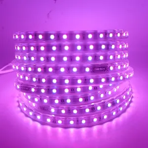 220 V Led Waterdicht Rgbled Lint 5050 Led Tape Flexibele Led Strip Licht 220 V 60Leds/M Verlichting Met Eu Plug