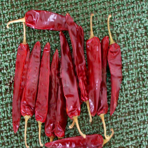 Venta al por mayor Mejor precio Chili fresco congelado picante Red Hot Chili Pepper al por mayor Hecho en Vietnam Jinta Chili Red Chilli Jinta - Product Image 3