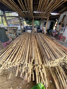 Vietnam Origin Bamboo Garden Stakes Natural <b>Dried</b> Canes For Flower <b>Plant</b> Support Agricultural Wholesale - Product Image 6