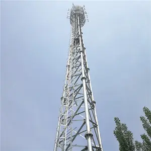 20 m 20 ölçer 30m 40 metre 45m 50m 60m Gsm hücresel telekomünikasyon anten İletişim kulesi direk
