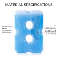 Blocs de glace pour boîtes à lunch et glacières, blocs réfrigérants originaux, accessoires pour glacières pour la plage, le camping et la pêche