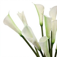 Bunga Calla Lily Putih Buatan PU Berkualitas Tinggi dengan Sentuhan Realistis untuk Dekorasi Meja Tengah, Pesta Pernikahan, dan Rumah