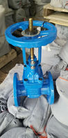 Vanne à opercule à tige montante conforme aux normes ANSI/DIN/BS, 4 pouces, taille personnalisable, siège EPDM/PTFE, corps en fonte d'aluminium pour le traitement de l'eau