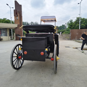 รถม้าไฟฟ้าสำหรับงานแต่งงาน รถม้าชมวิว รถม้าชมวิวเวียนนา - Product Image 3