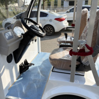 Voiture électrique de tourisme vert clair 4000W, 11-14 places, spacieuse et robuste, idéale pour les excursions en sites touristiques et les balades en parc
