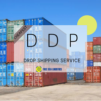 Services d'agent de fret maritime FOB LCL FCL 20FT 40HQ DDP DDU CIF de la Chine vers l'Arabie Saoudite, les Émirats arabes unis, le Qatar - Transitaire maritime