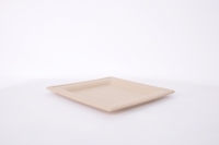 ECOLipak Lot de 125 Assiettes Carrées en Papier Compostables 6 Pouces, Jetables, Écologiques, Robustes, Biodégradables, en Bambou