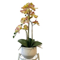 Orchidées artificielles jaunes écologiques en vrac fabriquées à la main plantes en pot pour le hall d'hôtel de luxe touche de mariage réaliste